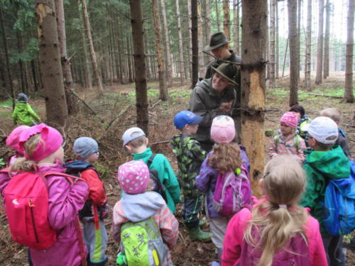 Program o lese- Lesní pedagogika (12)