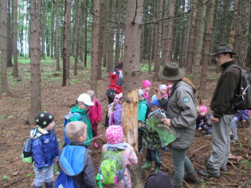 Program o lese- Lesní pedagogika (13)