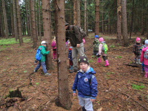 Program o lese- Lesní pedagogika (14)