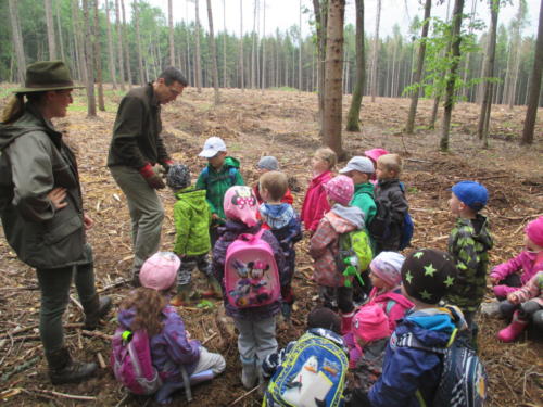 Program o lese- Lesní pedagogika (16)