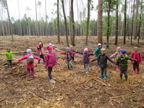 Program o lese- Lesní pedagogika (17)