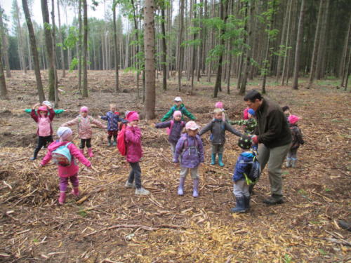 Program o lese- Lesní pedagogika (18)