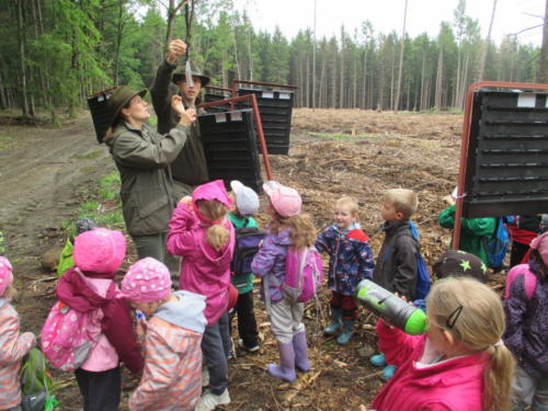 Program o lese- Lesní pedagogika (20)