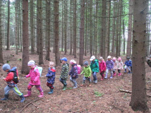Program o lese- Lesní pedagogika (23)