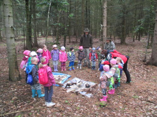 Program o lese- Lesní pedagogika (3)