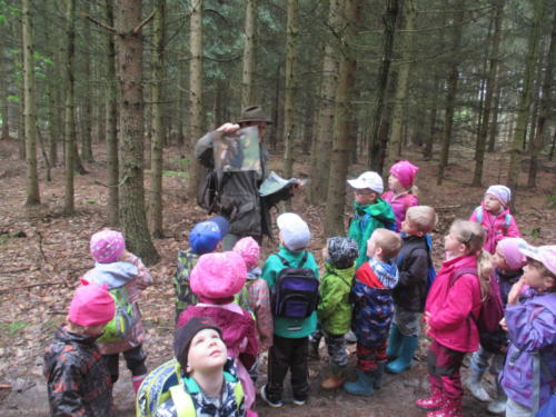 Program o lese- Lesní pedagogika (34)